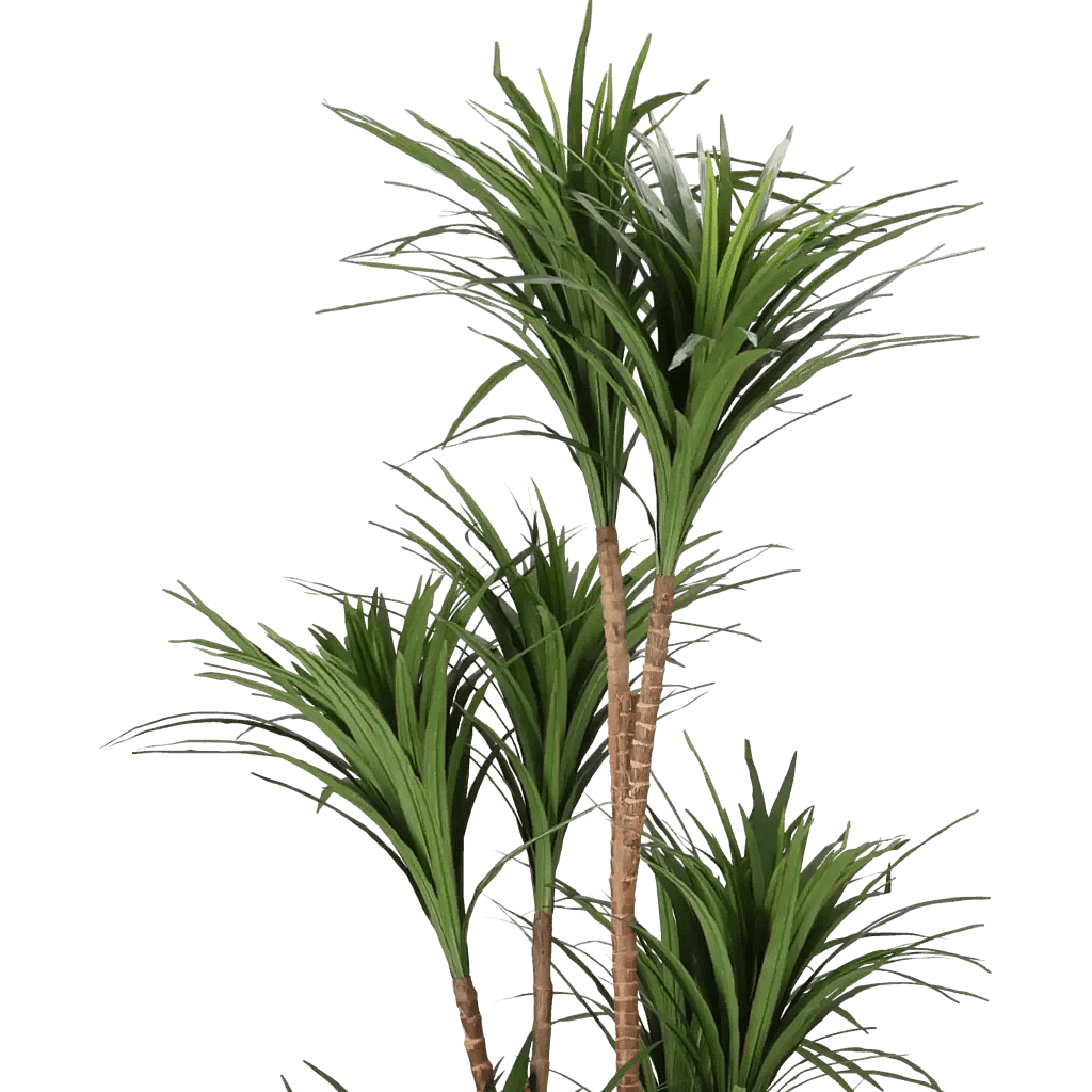 Closeup af Kunstig Dracaena H: 180 cm.
