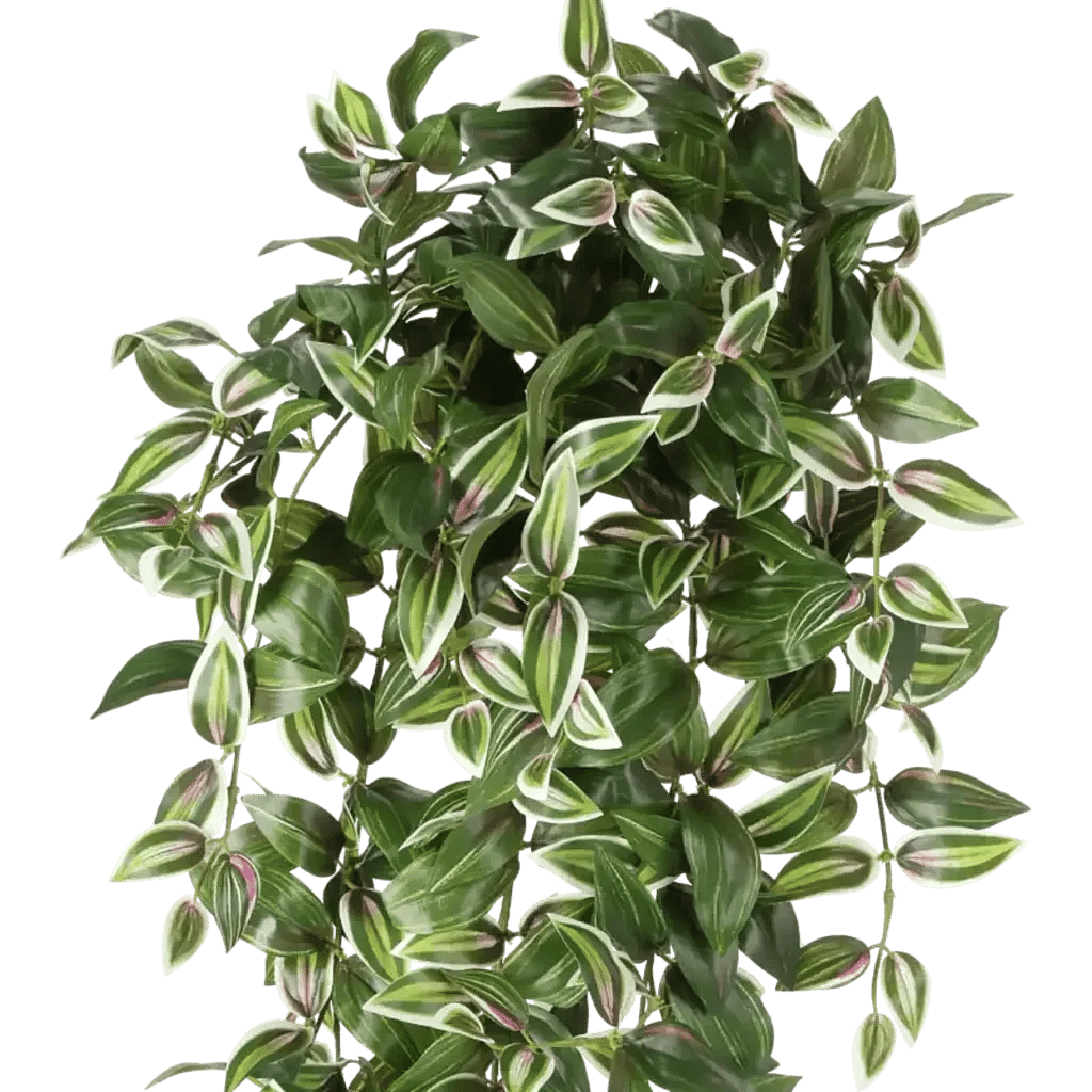 Closeup af Kunstig Tradescantia hængeplante H: 100 cm.