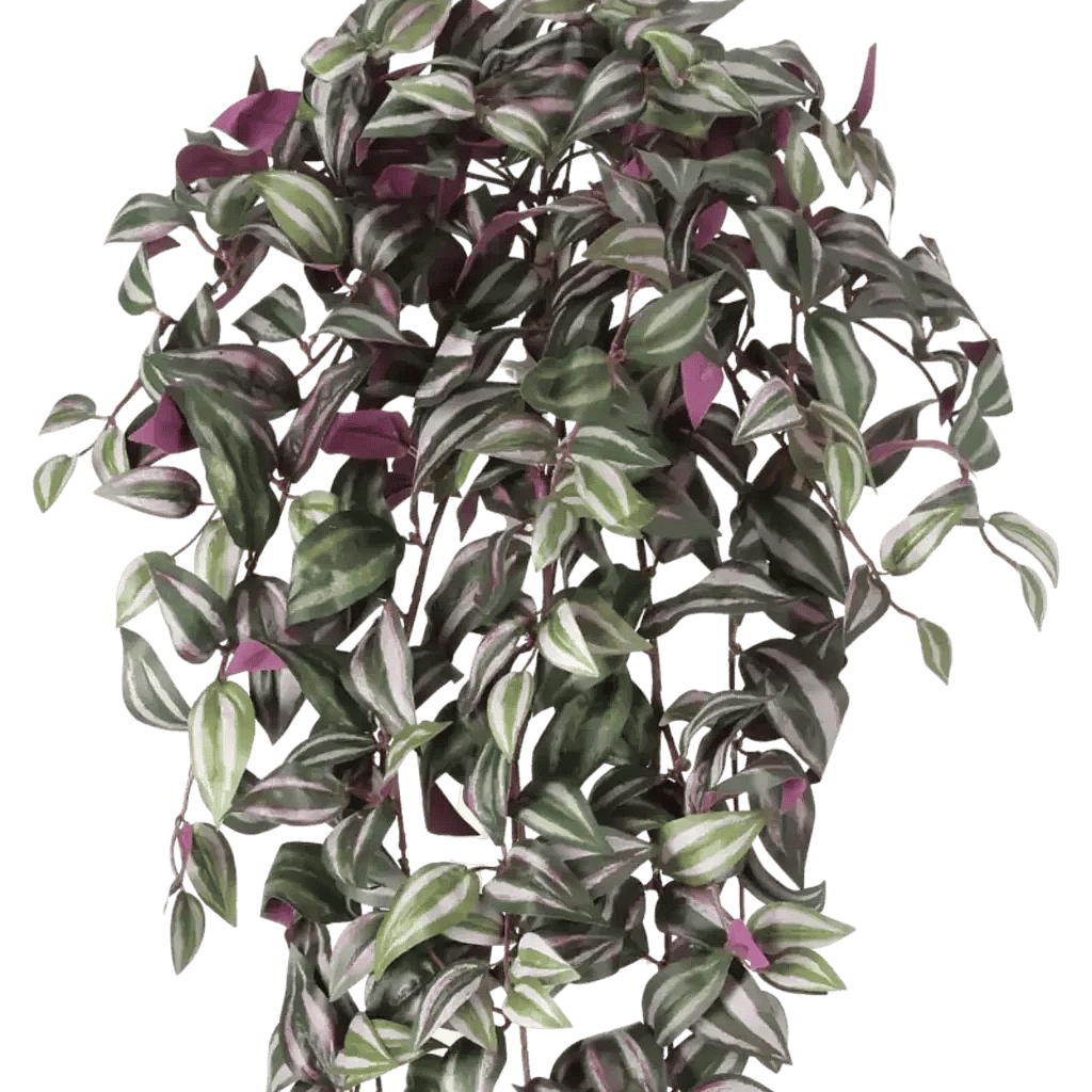 Closeup af Kunstig Tradescantia hængeplante L: 100 cm.