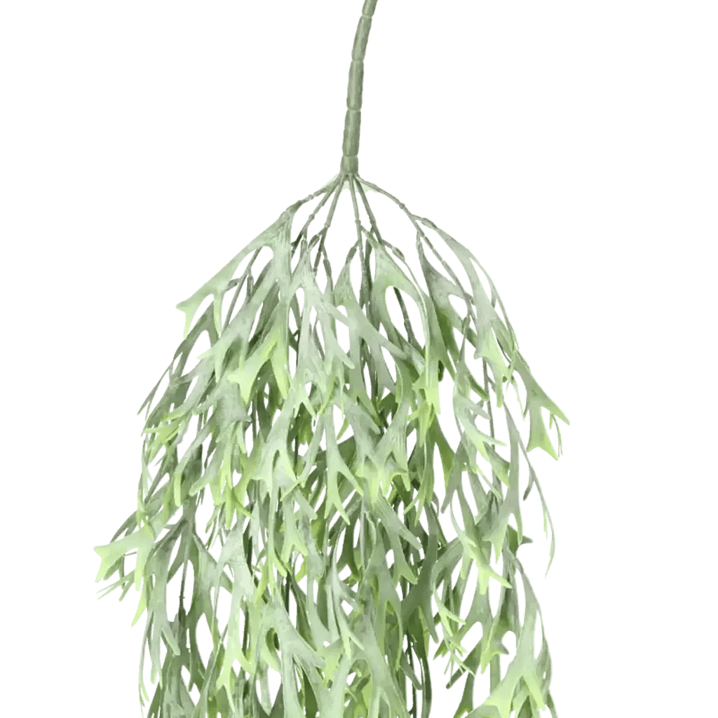 Closeup af Kunstig Staghorn hængeplante L: 65 cm.