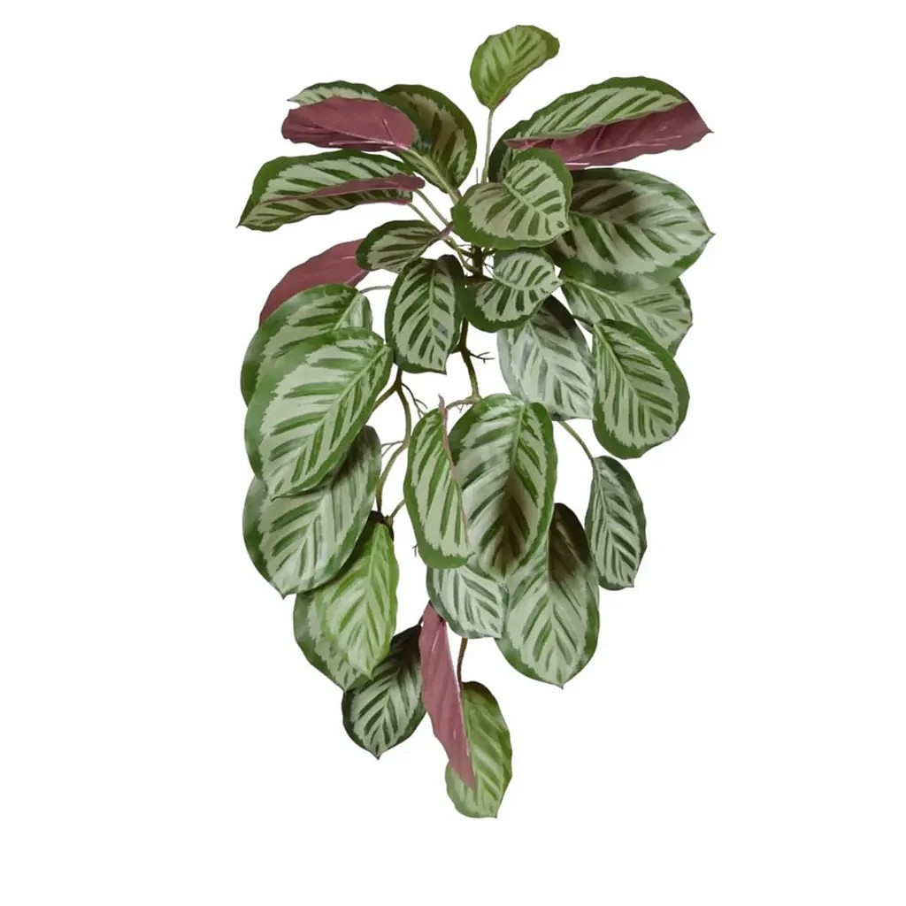 Kunstig Calathea rød Roseopicta hængeplante - L: 7.