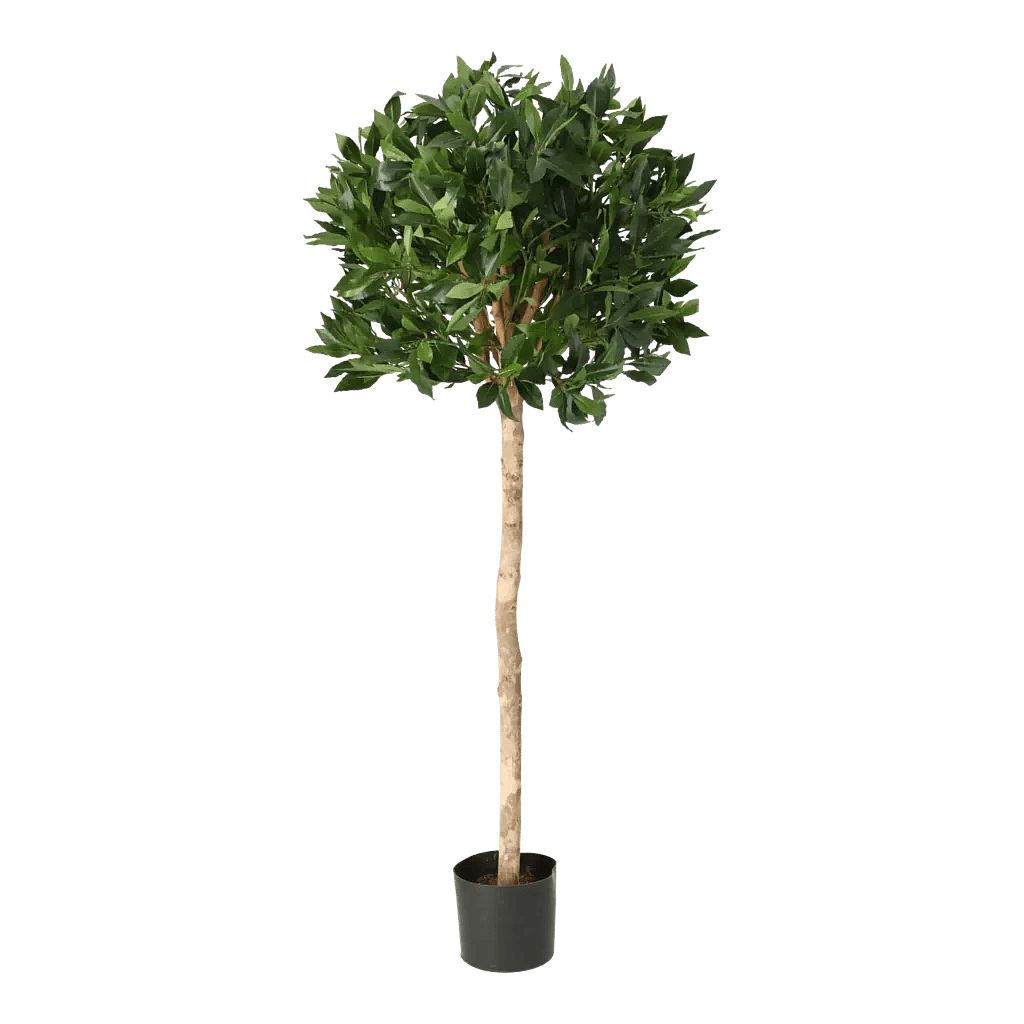 Kunstig Laurbær H: 120 cm.