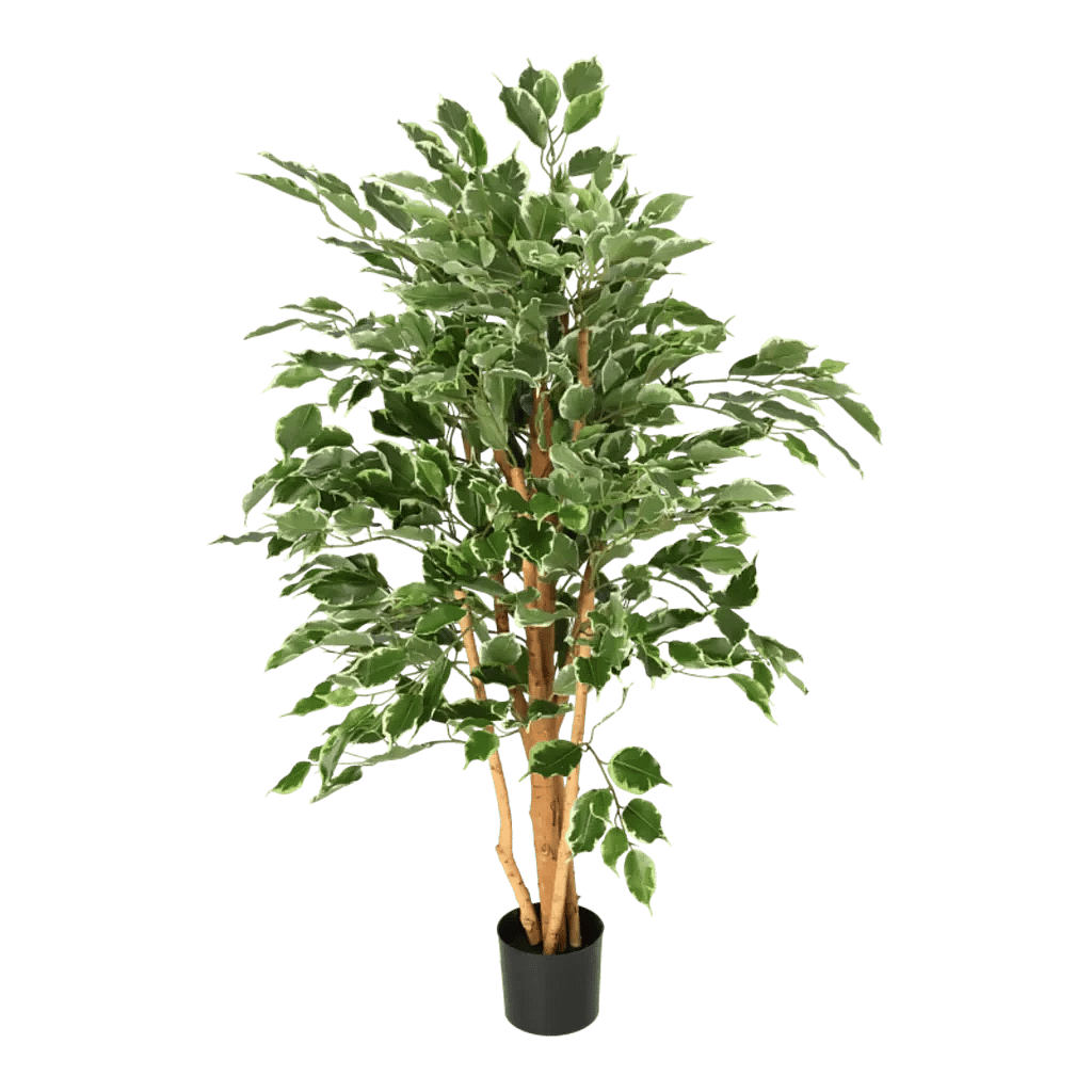 Kunstig Ficus Benjamina golden green H: 110 cm.