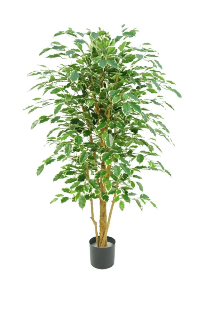 Kunstig ficus benjamina guld/grøn - H: 140.