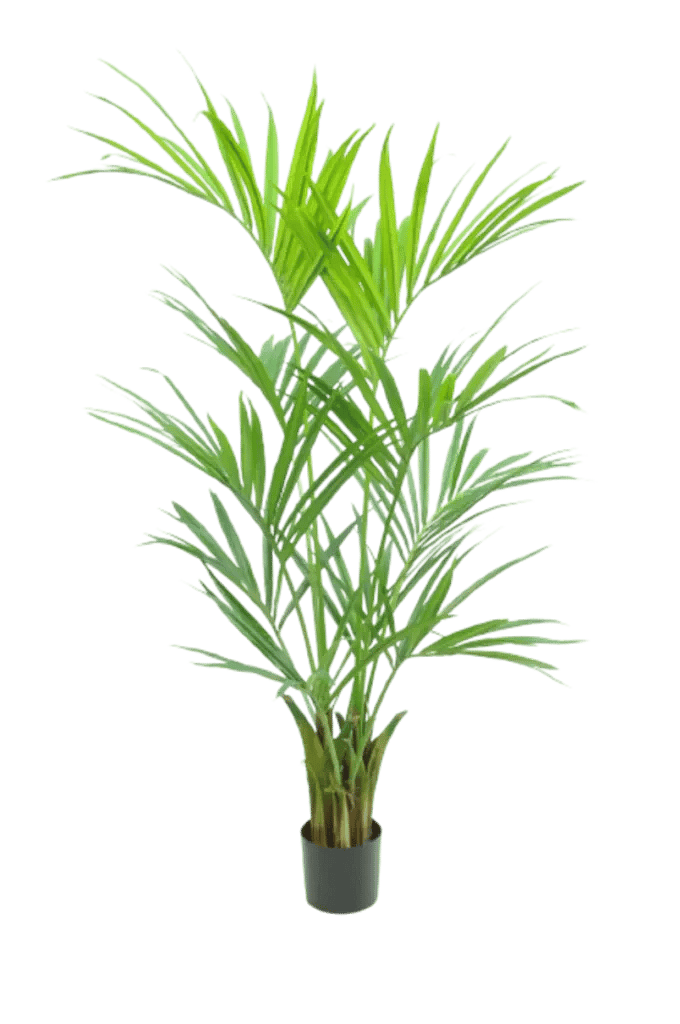 Kunstig Kentia palme H: 150 cm.