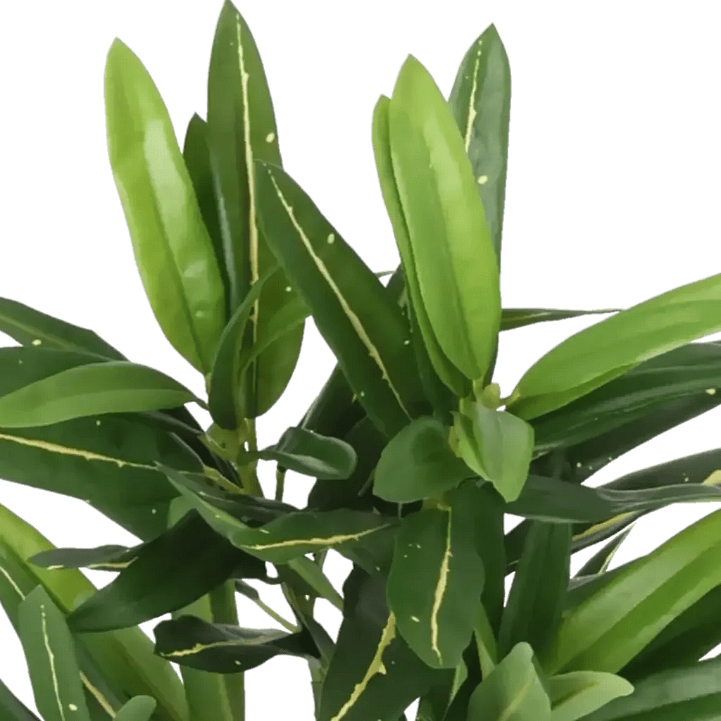 Closeup af Kunstig croton plante - H: 31 cm.