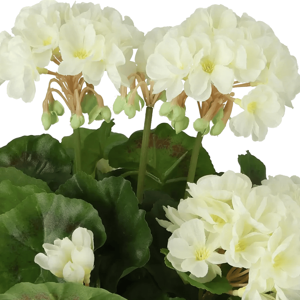 Closeup af Kunstig Pelargonie H: 29 cm.