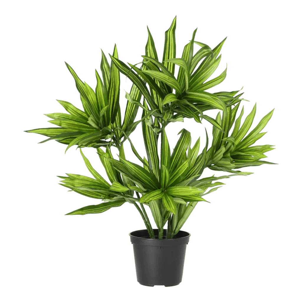 Kunstig dracena plante grøn - H: 38 cm.