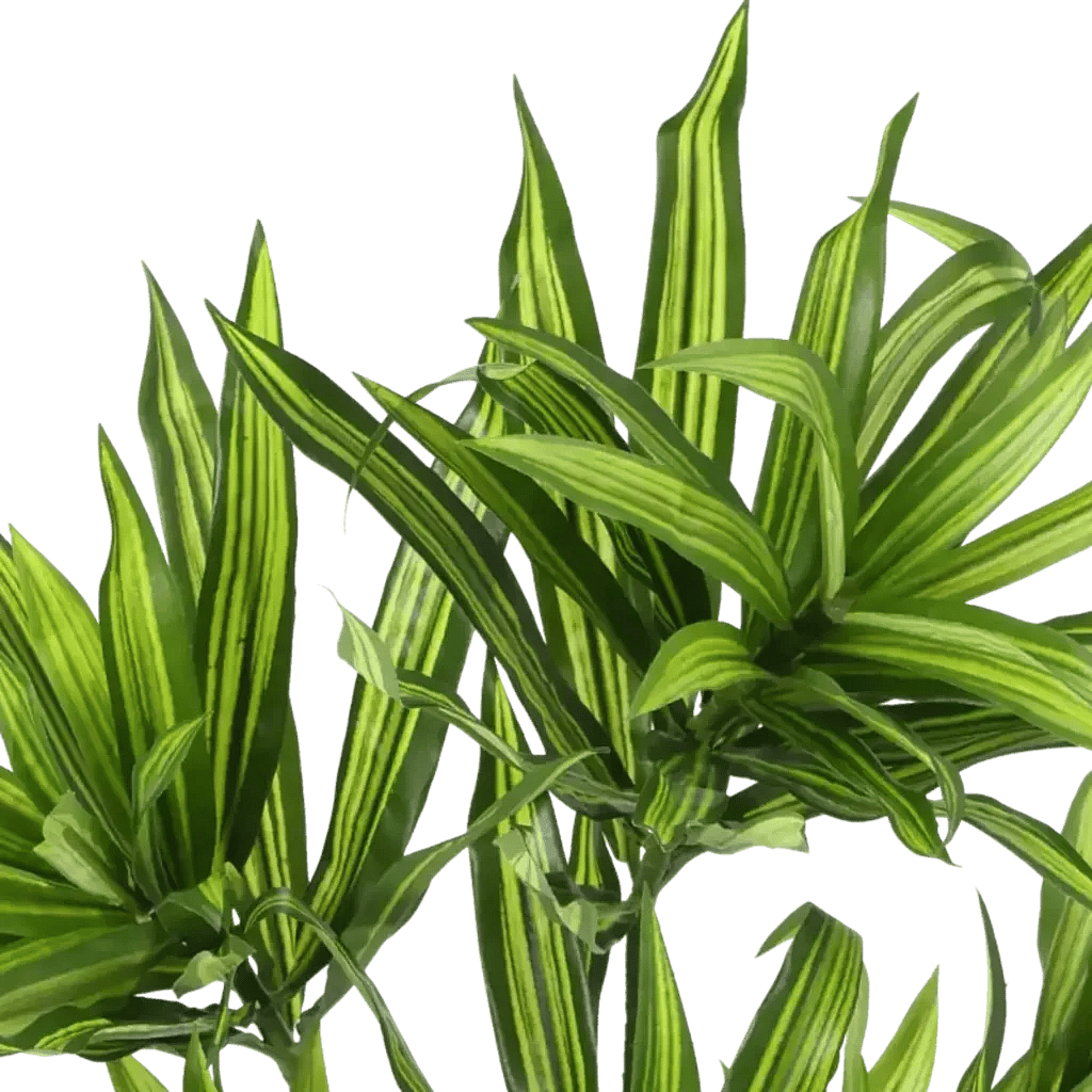 Closeup af Kunstig dracena plante grøn - H: 38 cm.