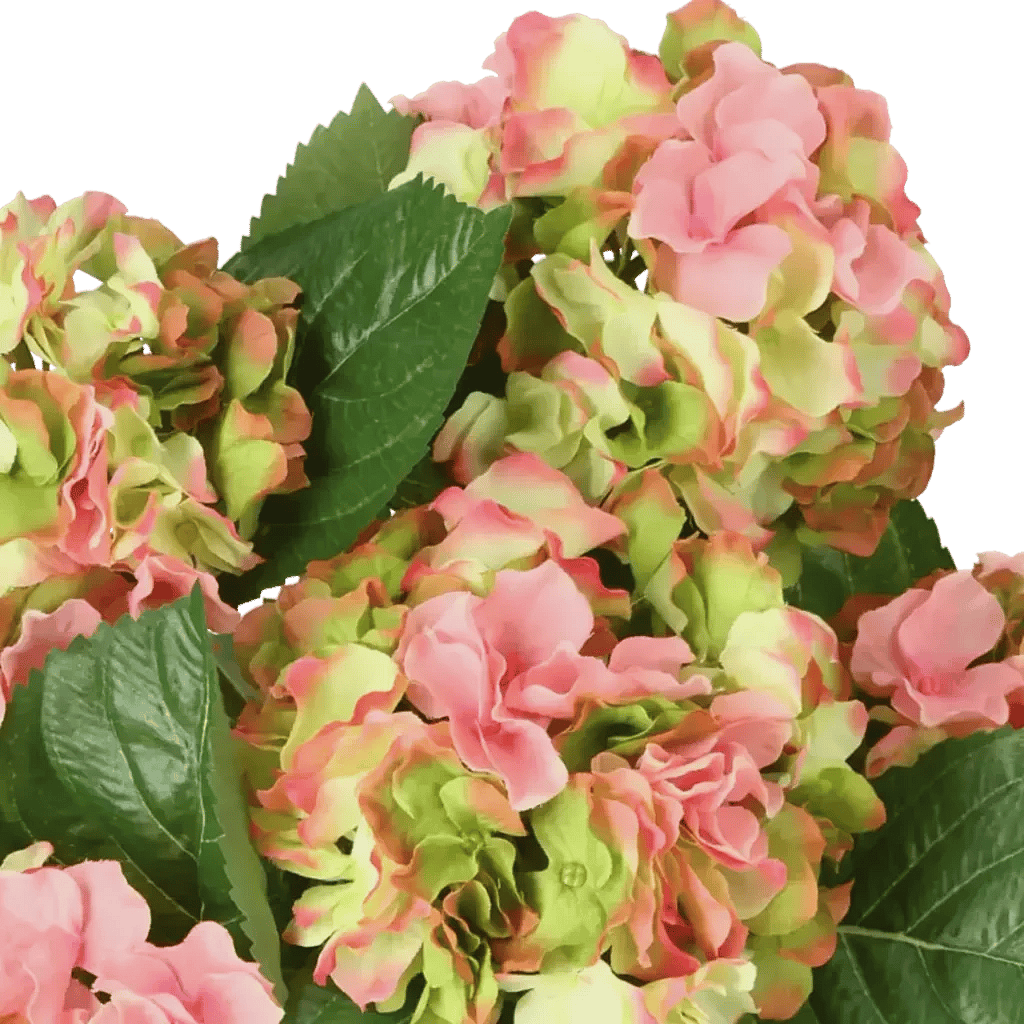 Closeup af Kunstig hortensia rosa/lime H: 41 cm.