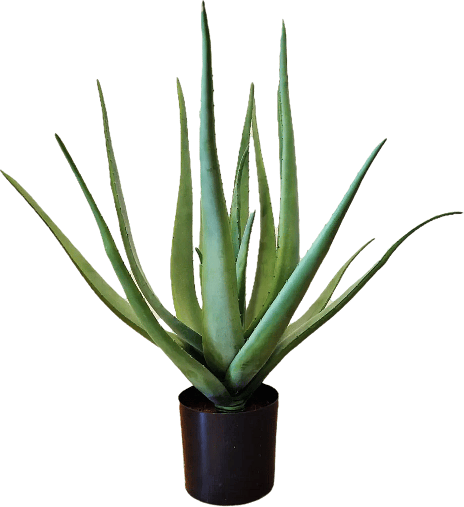 Kunstig Aloe Vera H: 58 cm.