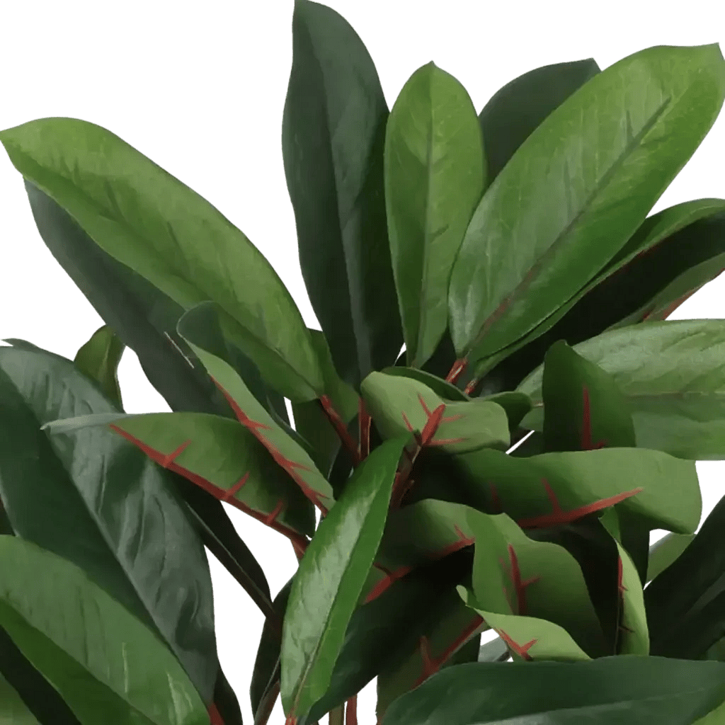 Closeup af Kunstig schefflera rød/grøn - H: 35 cm.