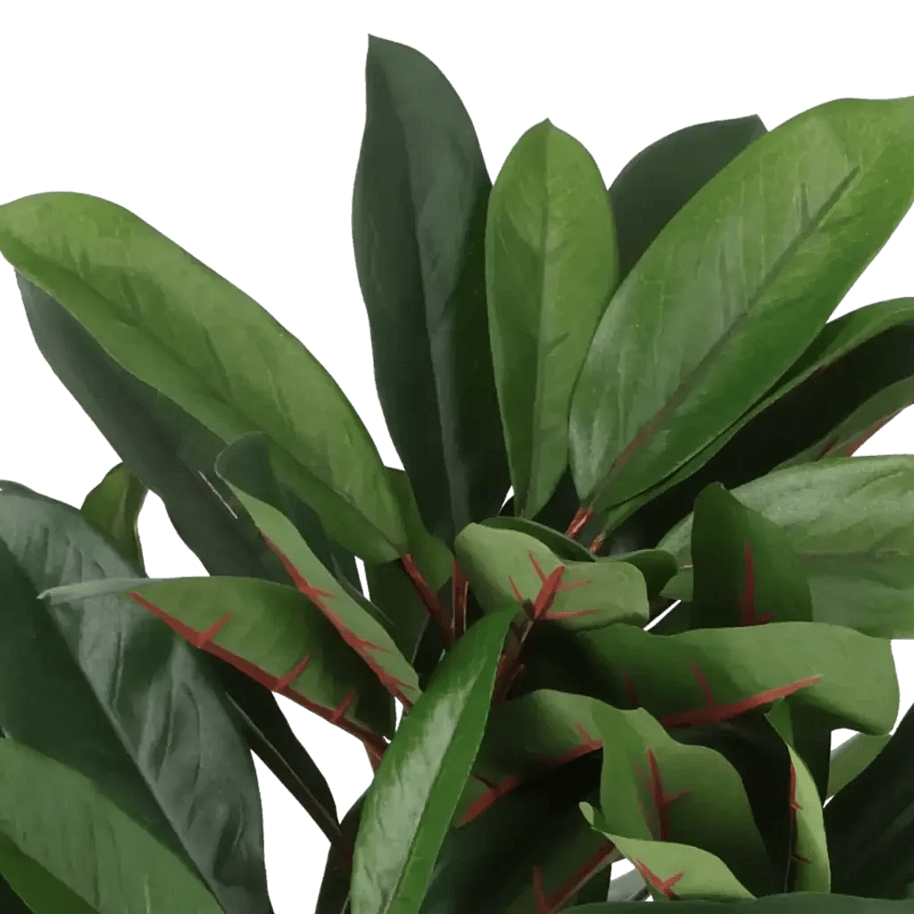 Closeup af Kunstig schefflera rød/grøn H: 35 cm.