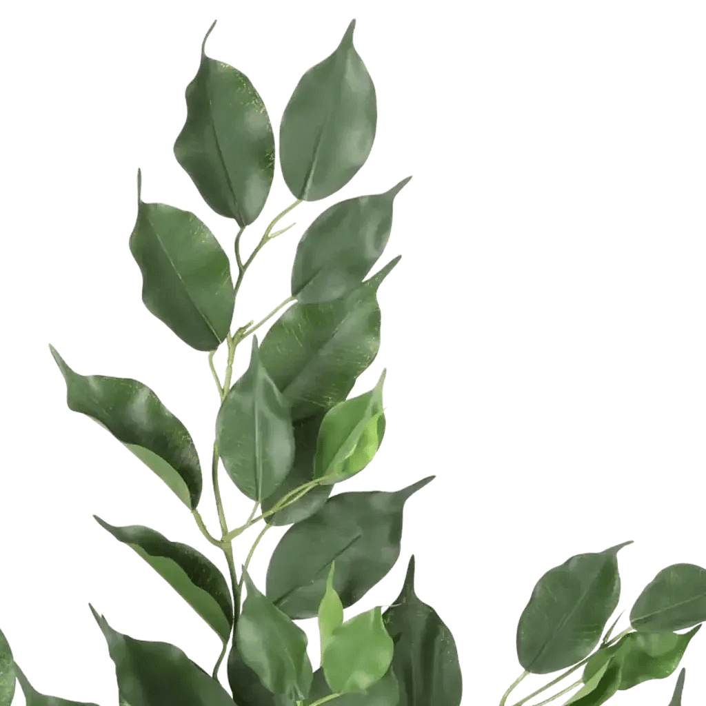 Closeup af Kunstig ficus exotica gren FR.
