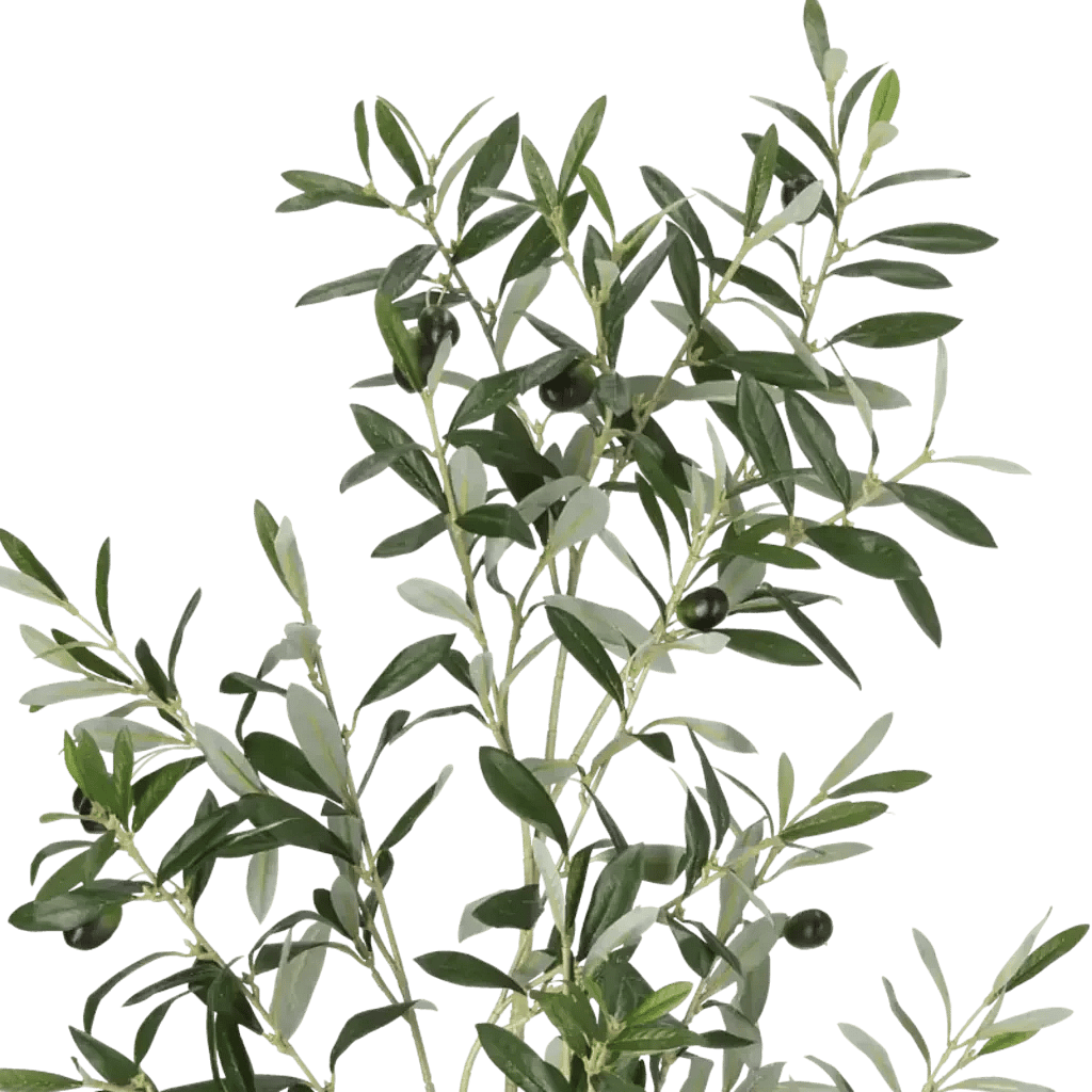 Closeup af Kunstig olivengren - L: 109 cm.