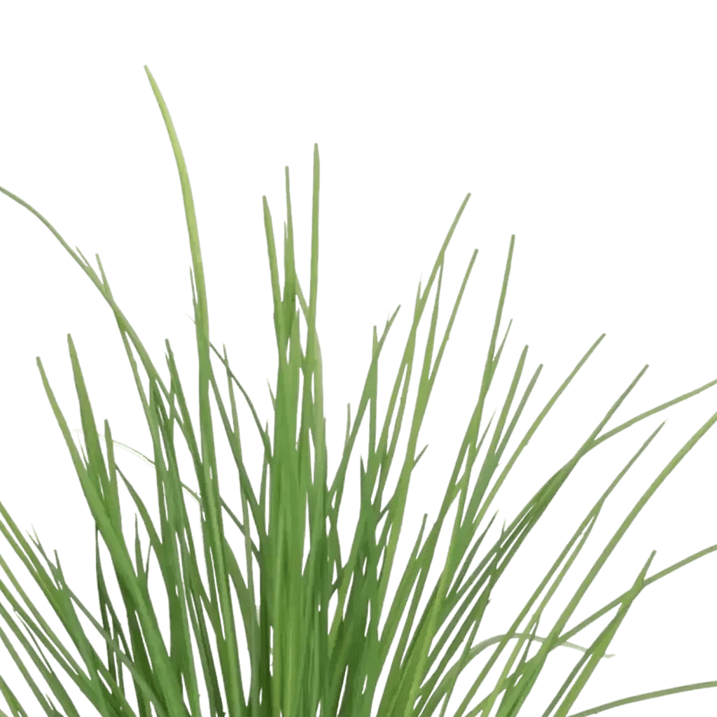 Closeup af Kunstig carex græs busk - H: 50 cm.