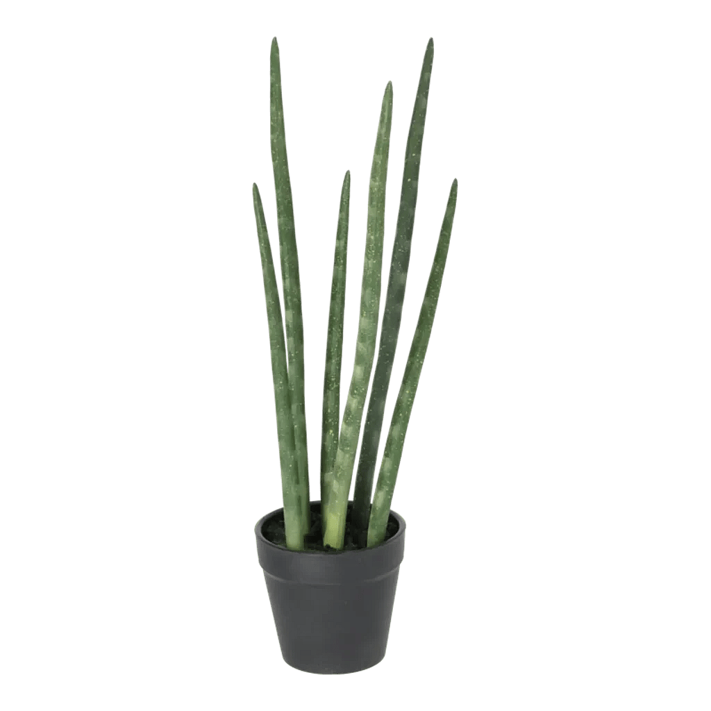 Kunstig Sanseveria H: 40 cm.