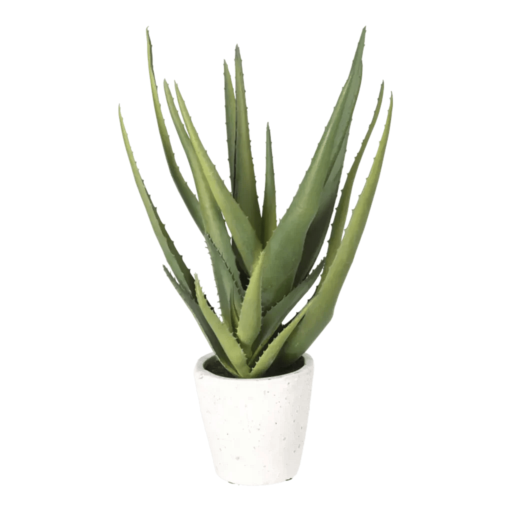 Kunstig Aloe Vera H: 35 cm.