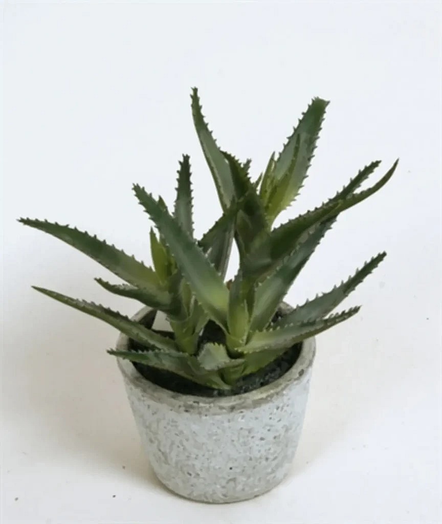 Kunstig aloe grøn - H: 22 cm.