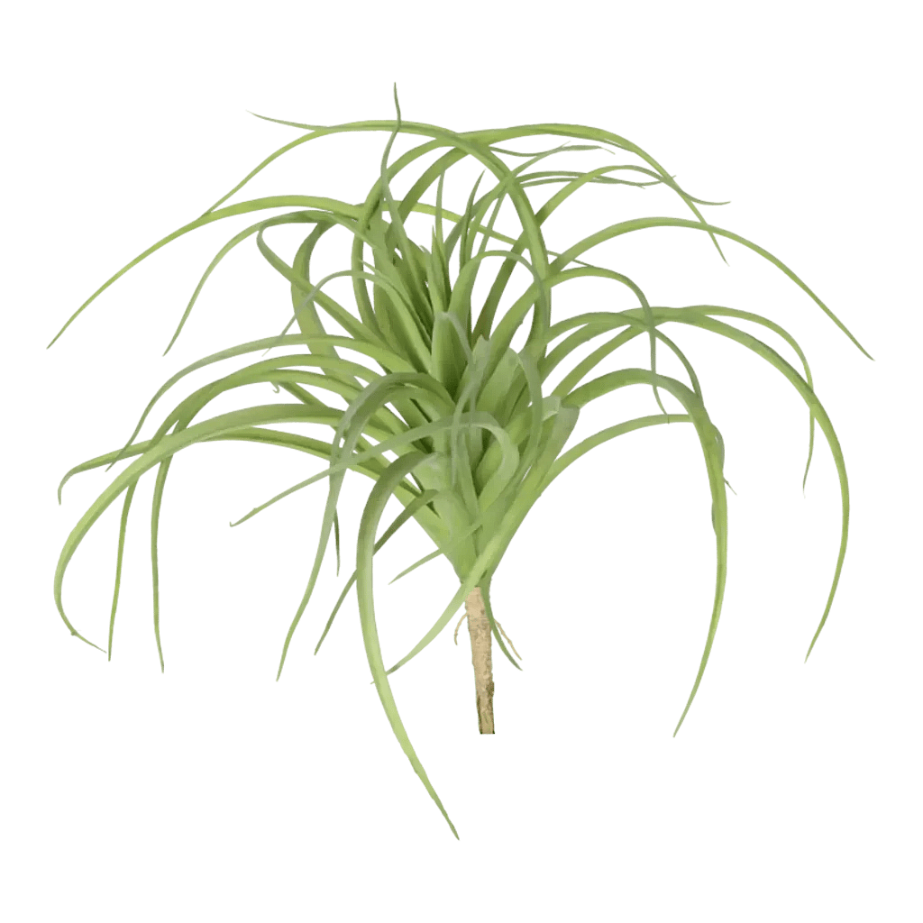 Kunstig Tillandsia H: 29 cm.