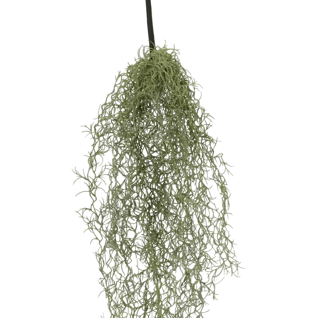 Closeup af Kunstig Tillandsia hængeplante L: 90 cm..