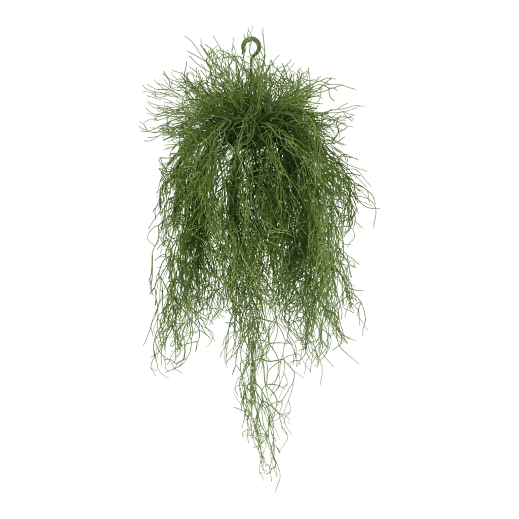 Kunstig Rhipsalis hængeplante L: 100 cm.