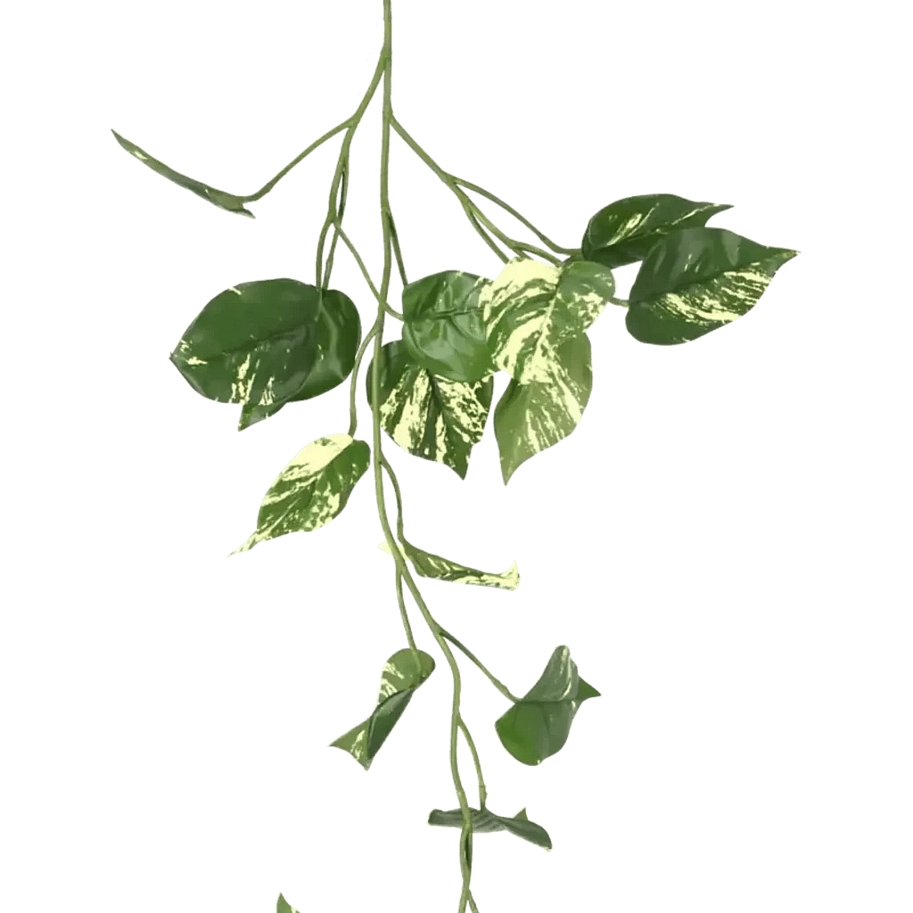 Closeup af Kunstig Pothos ranke L: 115 cm.