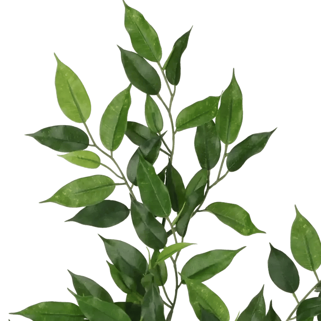 Closeup af Kunstig Ficus Natasja L: 55 cm.