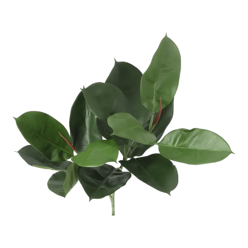 Kunstig Gummiplante FR L: 60 cm.