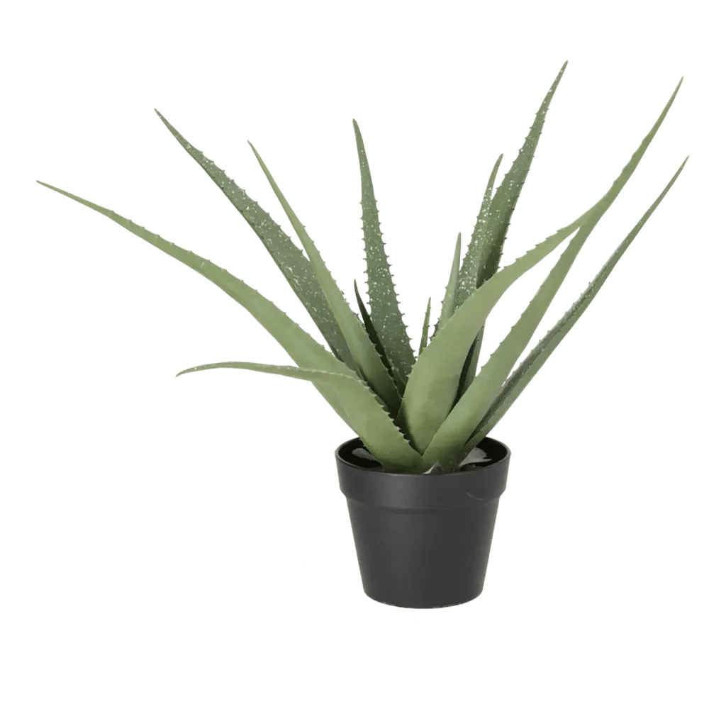 Kunstig Aloe Vera H: 62 cm.