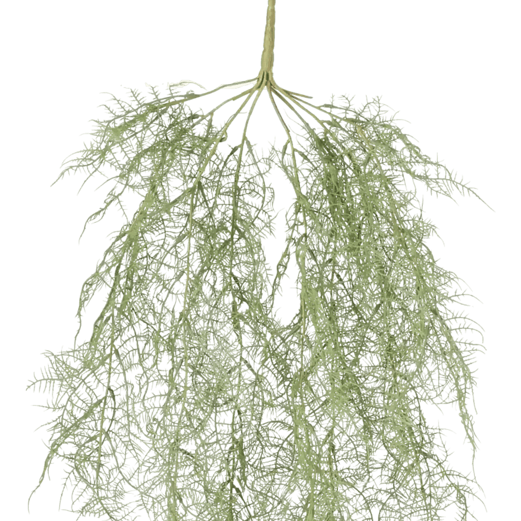Closeup af Kunstig Asparagus hængeplante L: 110 cm.