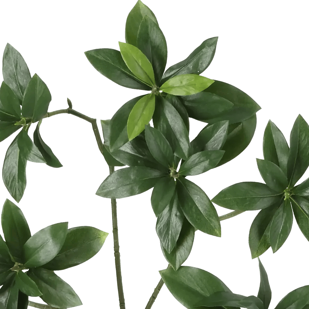 Closeup af Kunstig Euonymus Japonicus H: 55 cm.