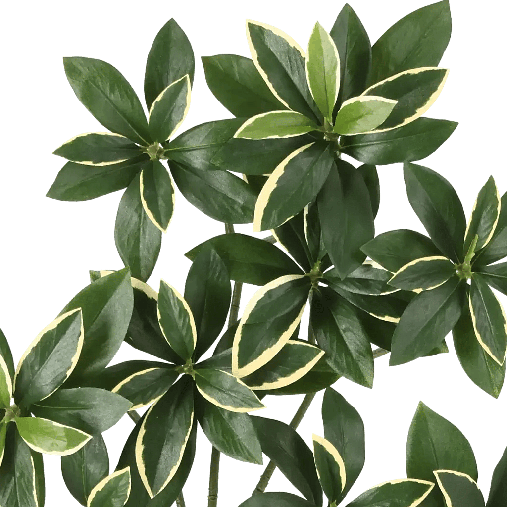 Closeup af Kunstig Euonymus Japonicus H: 55 cm.