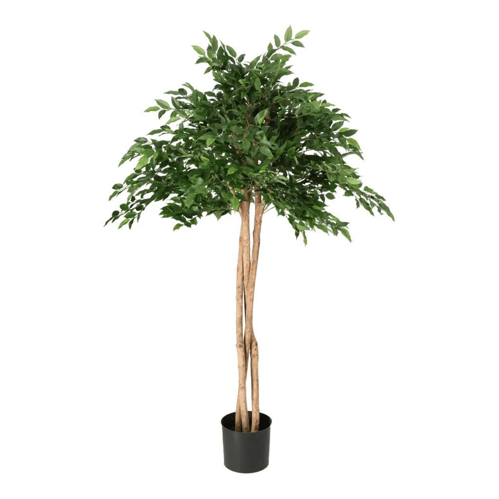 Kunstig Mini Ficus Natasja Paraply H: 135 cm.