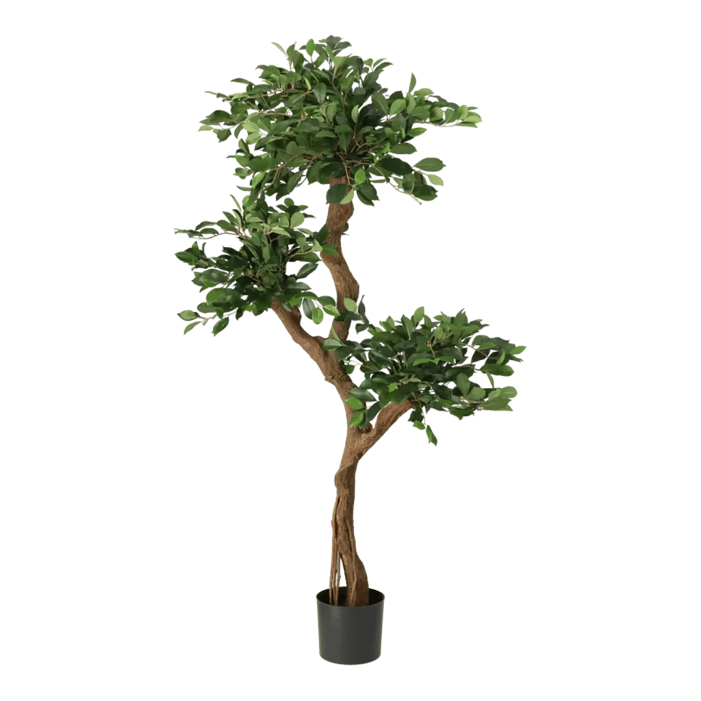 Kunstig Ficus Retusa H: 160 cm.