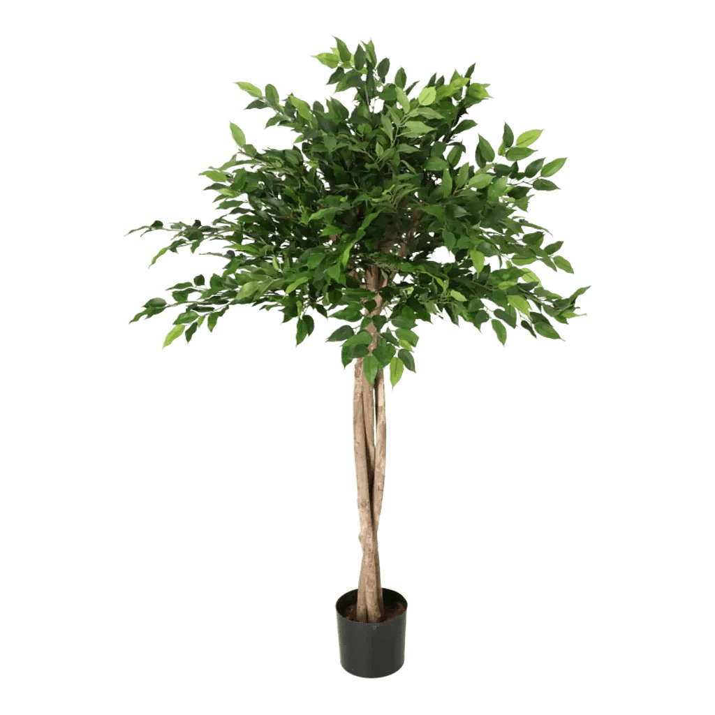 Kunstig Ficus opstammet H: 110 cm.