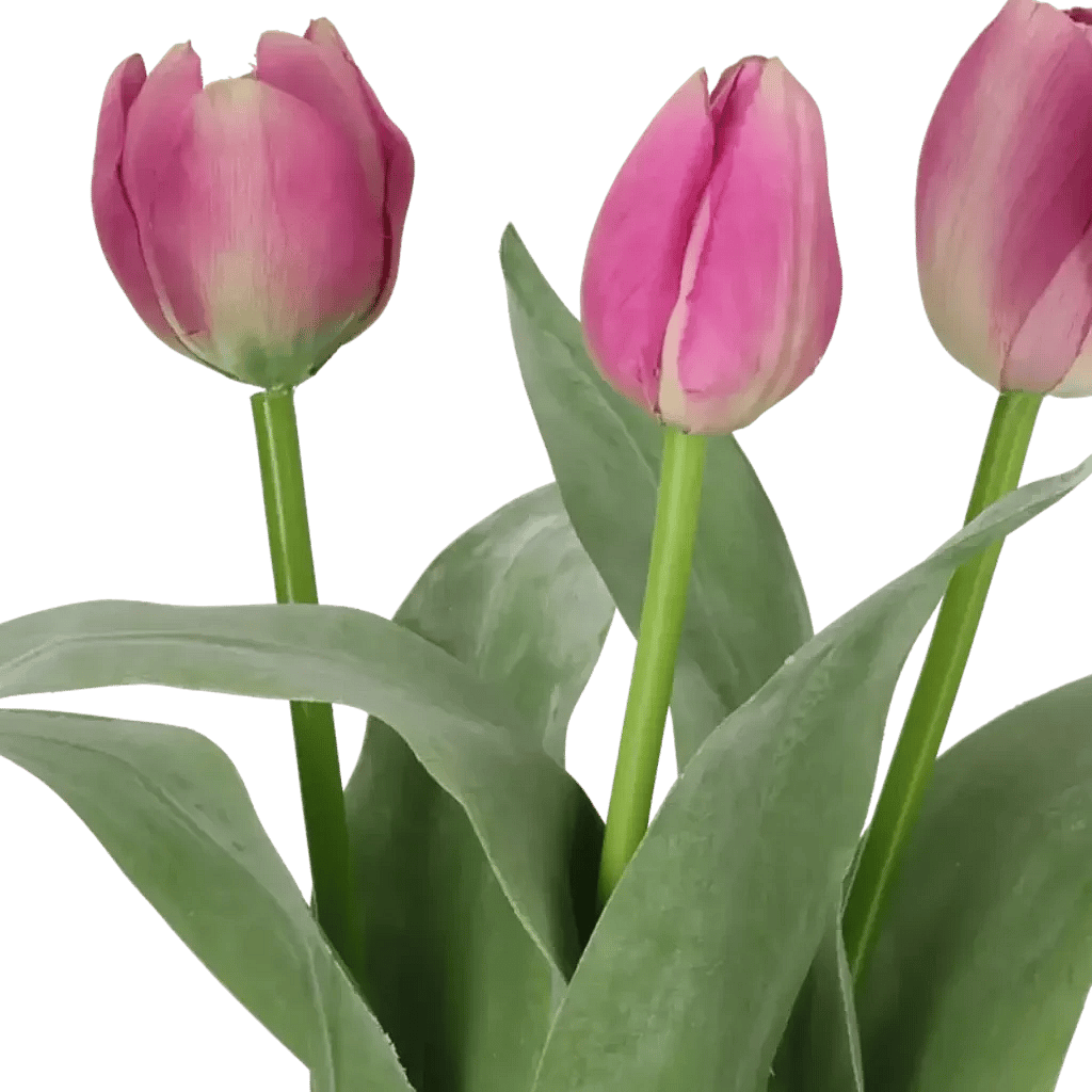 Closeup af Kunstig tulipan mix lilla - L: 36 cm.