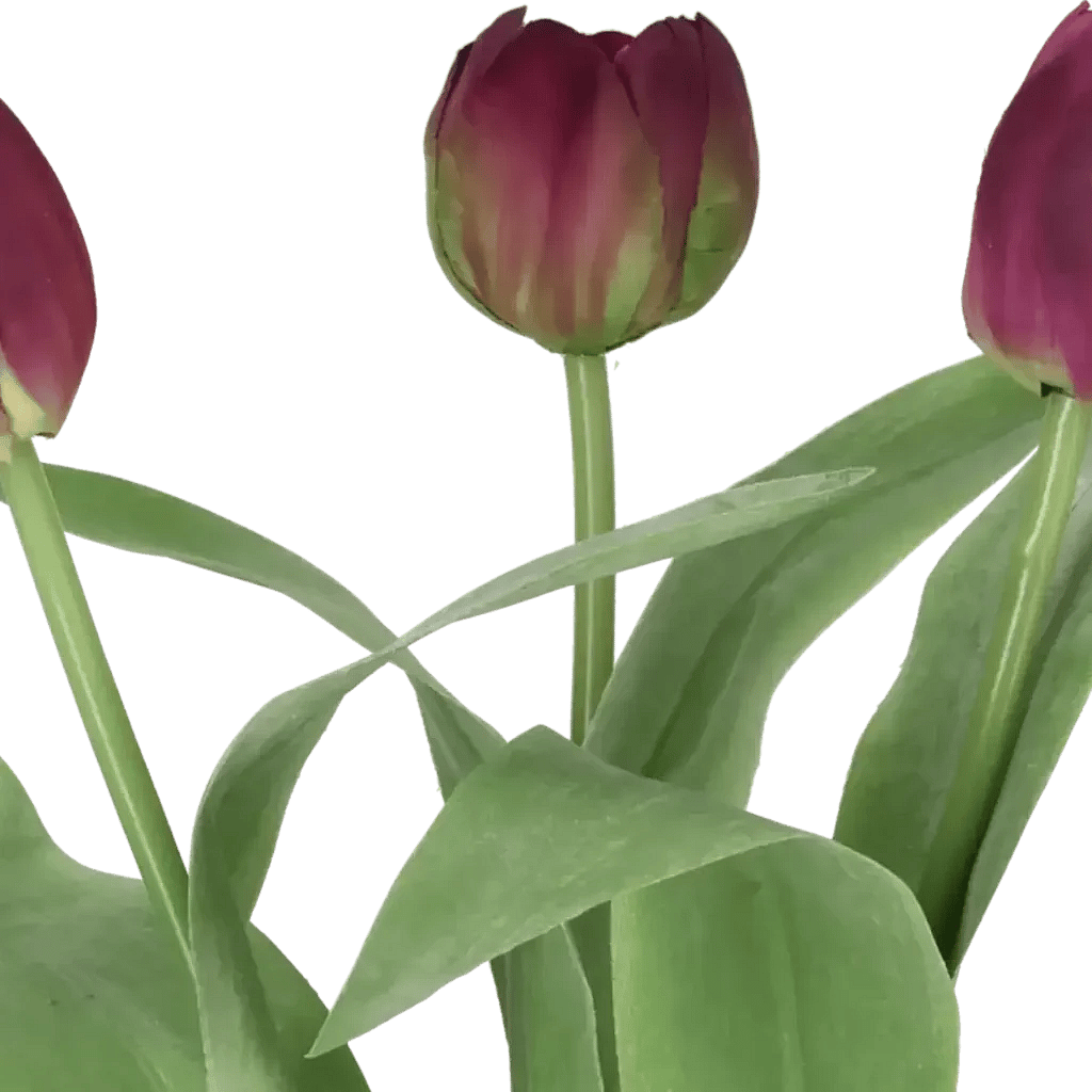 Closeup af Kunstig tulipan mørklilla mix L: 36 cm.