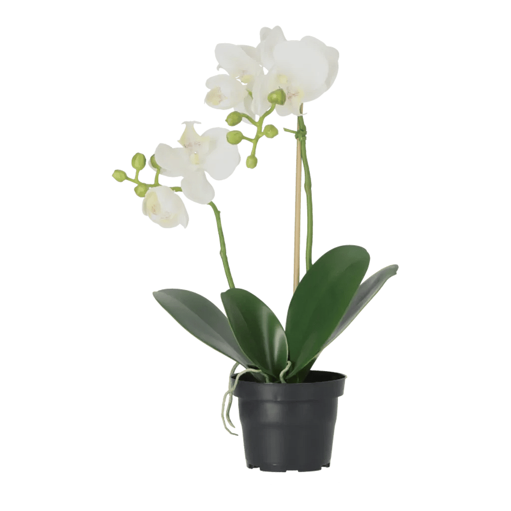 Kunstig Phalaenopsis Orkidé H: 45 cm.
