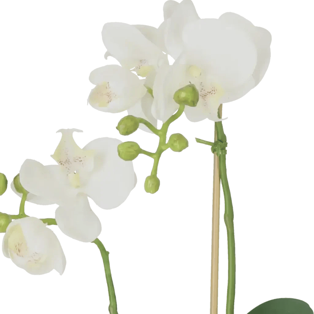 Closeup af Kunstig Phalaenopsis Orkidé H: 45 cm.