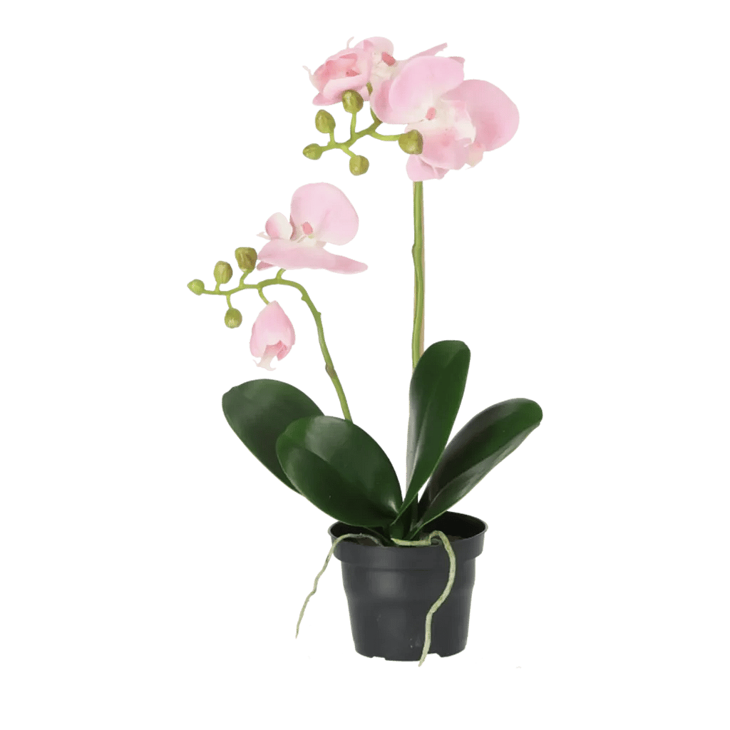 Kunstig Phalaenopsis Orkidé H: 45 cm.