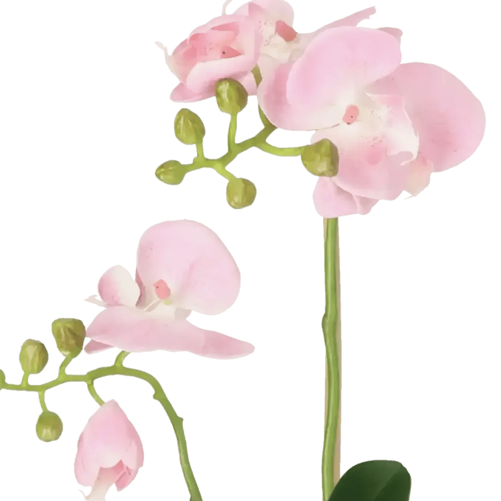 Closeup af Kunstig Phalaenopsis Orkidé H: 45 cm.