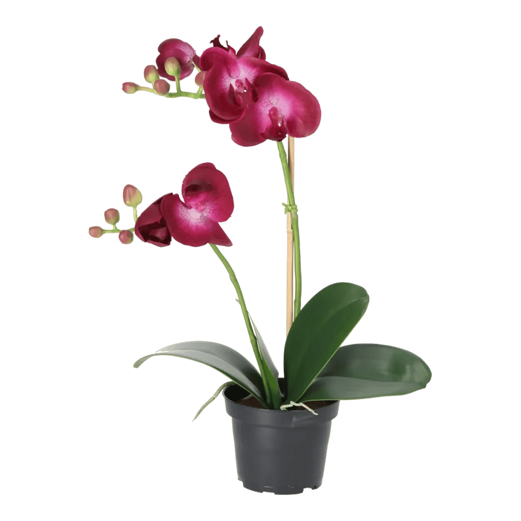 Kunstig orkidé mørk lilla - H: 45 cm.