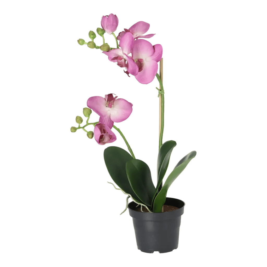 Kunstig Phalaenopsis Orkidé H: 45 cm.