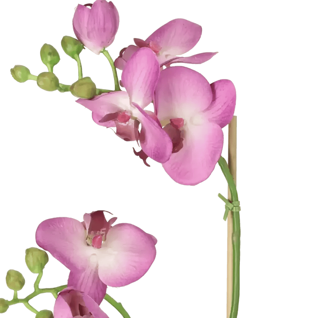 Closeup af Kunstig Phalaenopsis Orkidé H: 45 cm.
