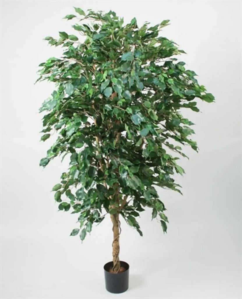 Kunstig Ficus H: 170 cm.
