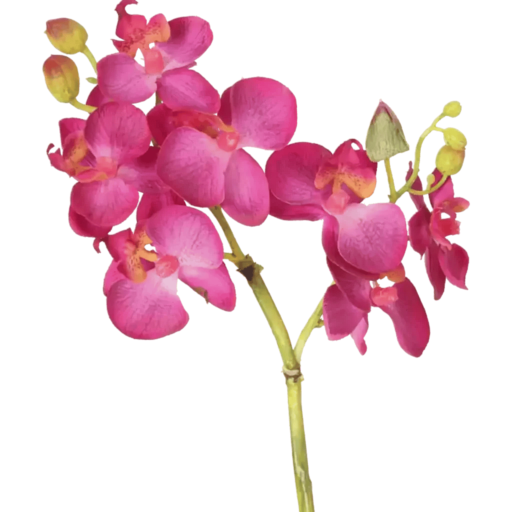 Closeup af Kunstig Orkide stilk Pink L: 50 cm.