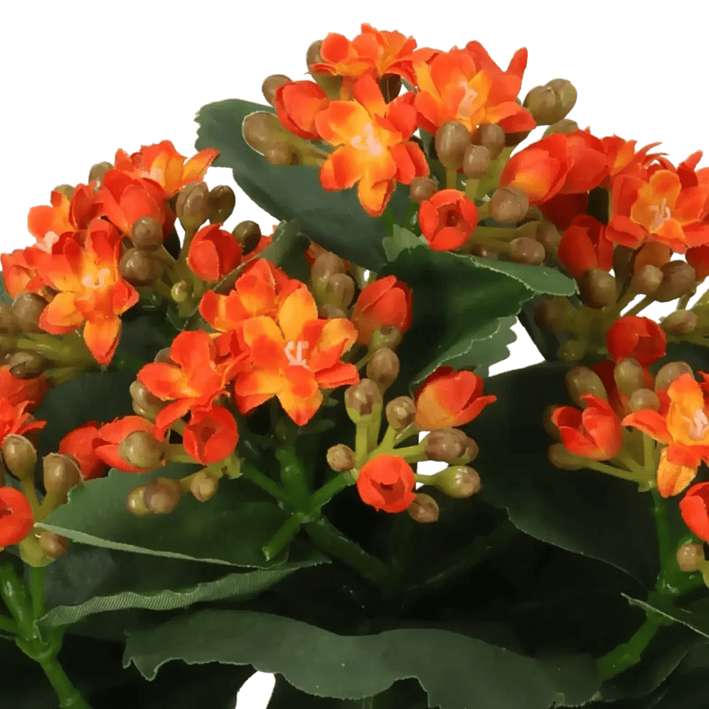 Closeup af Kunstig Kalanchoe H: 20 cm.