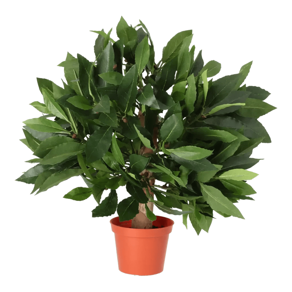 Kunstig Laurbær H: 25 cm.