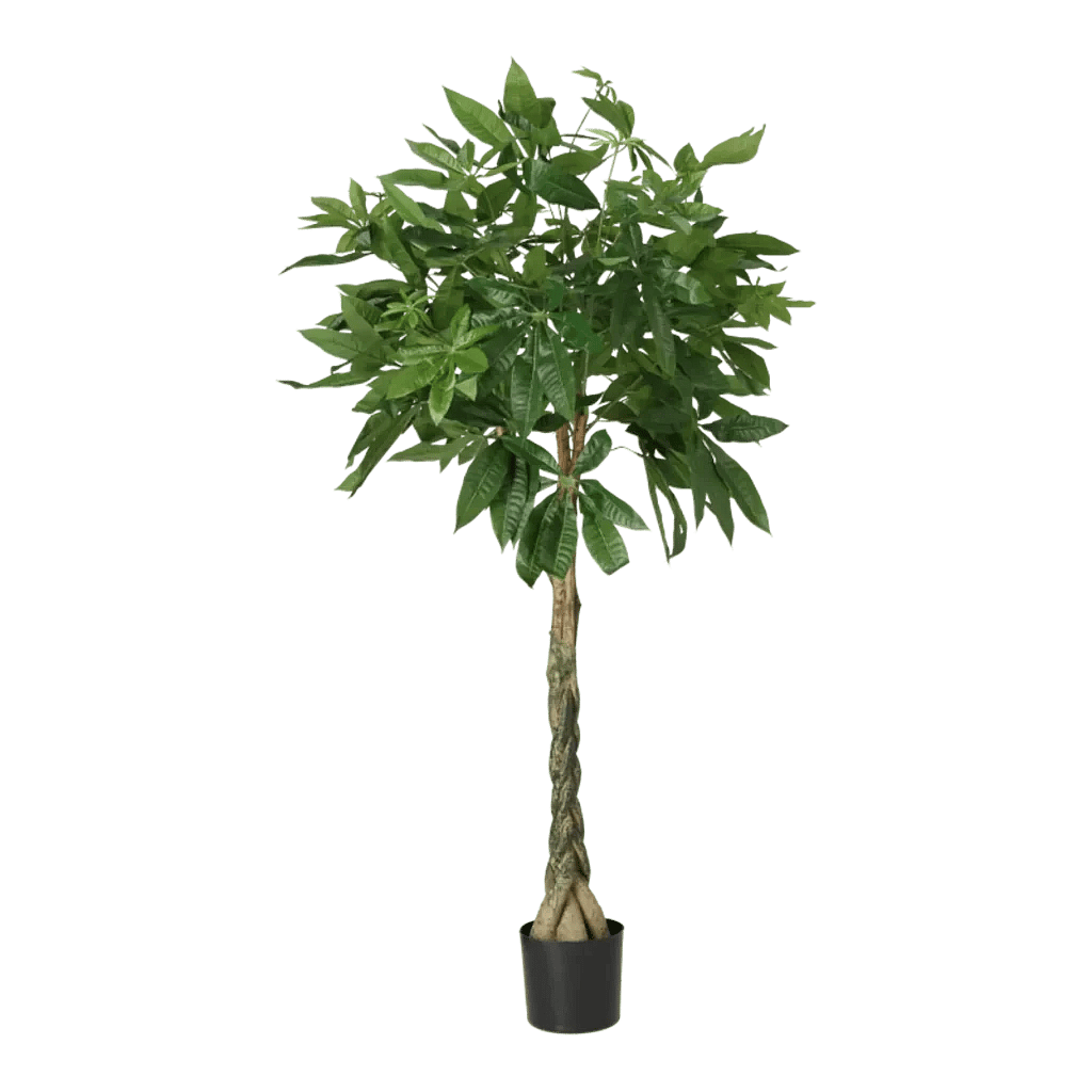 Kunstig Pachira H: 130 cm.